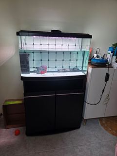 (Category: ) located in . Submitted by naughtycats (Listing ID 1453816970, Image 1). Description: .