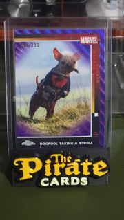 (Category: ) located in . Submitted by piratecards (Listing ID 1453833127, Image 1). Description: .