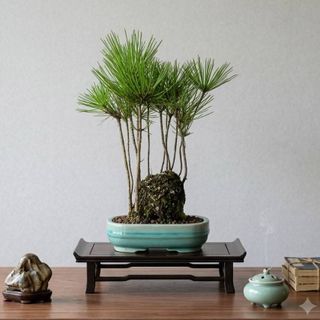 (Category: ) located in . Submitted by hongmeiliu06 (Listing ID 1453849172, Image 1). Description: .