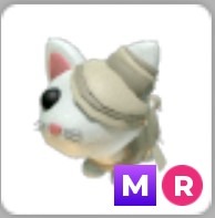 (Category: ) located in . Submitted by adoptmeprincess (Listing ID 1453959119, Image 1). Description: .