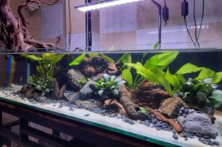 (Category: ) located in . Submitted by ascape (Listing ID 1453845535, Image 1). Description: .