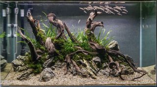 (Category: ) located in . Submitted by ascape (Listing ID 1453845535, Image 1). Description: .