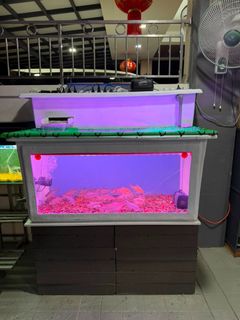(Category: ) located in . Submitted by kns878555094 (Listing ID 1453977498, Image 1). Description: .