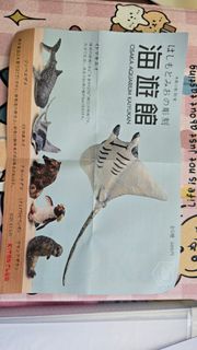 （分類：）位於 。 由 domo624 提交（商品編號 1454008539，圖片 1）。簡介： 。
