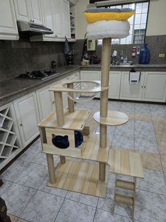 (Category: ) located in . Submitted by mluck (Listing ID 1454084570, Image 1). Description: .