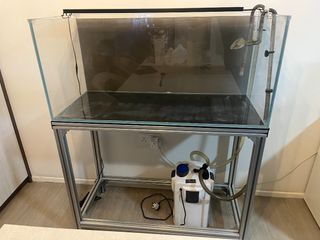 (Category: ) located in . Submitted by quickdeal72 (Listing ID 1454108529, Image 1). Description: .