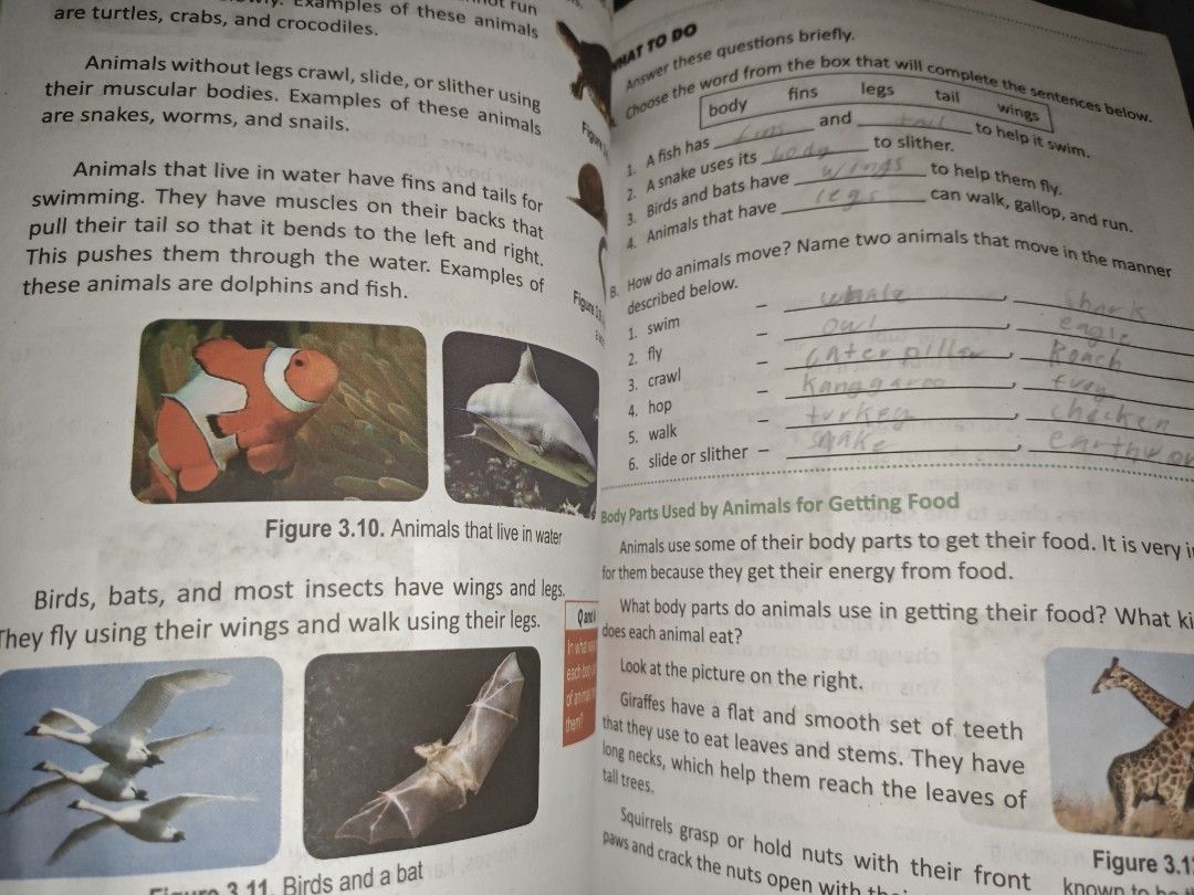 K-12 Science Links Worktext for Scientific and Technological Literacy Grade 2 (Category: Textbooks) located in Tarlac. Submitted by jmnunag01091937 (Listing ID 1454050205, Image 2). Description: - Bought for 600 pesos - 2nd Hand Science Links Grade 2 Worktext (Revised Edition) - Covers scientific and technological literacy - Ideal for Grade 2 students - Features numerous activities - Focuses on animals and their habitats - Great resource for scie