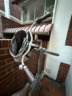 (Category: ) located in . Submitted by cldrum (Listing ID 1454081818, Image 1). Description: .