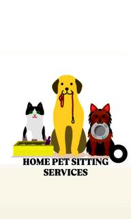 (Category: ) located in . Submitted by usensell (Listing ID 1235038887, Image 1). Description: .