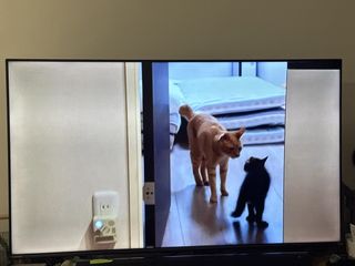 （分類：）位於 。 由 hirohkhk 提交（商品編號 1454126136，圖片 1）。簡介： 。