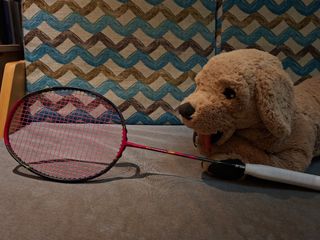 （分類：）位於 。 由 purchasingyonex 提交（商品編號 1453772426，圖片 1）。簡介： 。