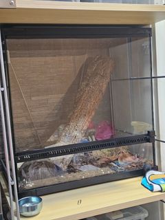 （分類：）位於 。 由 vincentkrauser 提交（商品編號 1454334079，圖片 1）。簡介： 。