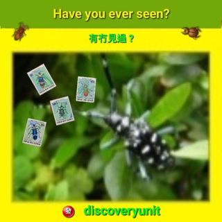 （分類：）位於 。 由 discoveryunit 提交（商品編號 1454275549，圖片 1）。簡介： 。
