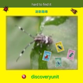 （分類：）位於 。 由 discoveryunit 提交（商品編號 1454277188，圖片 1）。簡介： 。