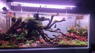(Category: ) located in . Submitted by r_ud_e (Listing ID 1454269906, Image 1). Description: .