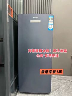 家用雪櫃 迷你雪櫃 細雪櫃 雙門雪櫃 Refrigerator 收藏品 2