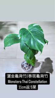 （分類：）位於 。 由 98896 提交（商品編號 1454295204，圖片 1）。簡介： 。