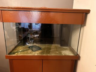 (Category: ) located in . Submitted by wanala (Listing ID 1454246319, Image 1). Description: .