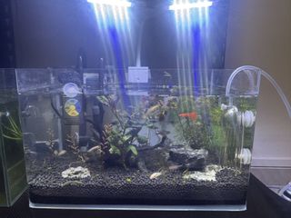 (Category: ) located in . Submitted by terencephu74957 (Listing ID 1454362968, Image 1). Description: .
