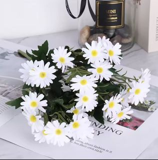 (Category: ) located in . Submitted by alyeow_flowery (Listing ID 1454258671, Image 1). Description: .