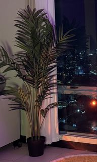 (Category: ) located in . Submitted by mnldecluttering (Listing ID 1454261555, Image 1). Description: .