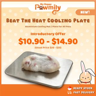 (Category: ) located in . Submitted by myhappypawmily.store (Listing ID 1454284620, Image 1). Description: .