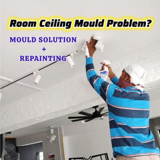 Anti Mould Treatment  收藏品 1