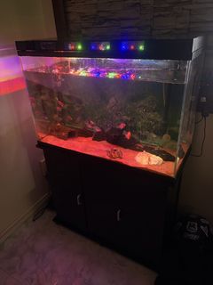 (Category: ) located in . Submitted by reinsky_ (Listing ID 1454284396, Image 1). Description: .