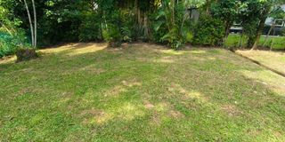 (Category: ) located in . Submitted by karups7 (Listing ID 1454289469, Image 1). Description: .