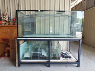 (Category: ) located in . Submitted by aquariumman (Listing ID 1454230549, Image 1). Description: .