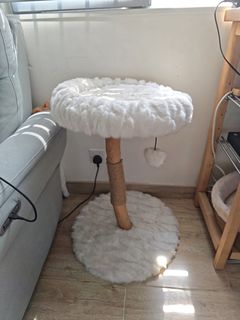 （分類：）位於 。 由 lenox.j.loo 提交（商品編號 1454206875，圖片 1）。簡介： 。