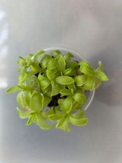 （分類：）位於 。 由 minamirror 提交（商品編號 1454451734，圖片 1）。簡介： 。