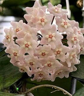（分類：）位於 。 由 bobo23822 提交（商品編號 1454393143，圖片 1）。簡介： 。