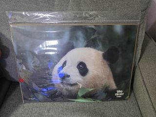 （分類：）位於 。 由 evonyy 提交（商品編號 1454500070，圖片 1）。簡介： 。