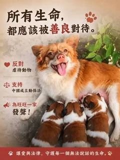 （分類：）位於 。 由 20071011abc 提交（商品編號 1454535539，圖片 1）。簡介： 。