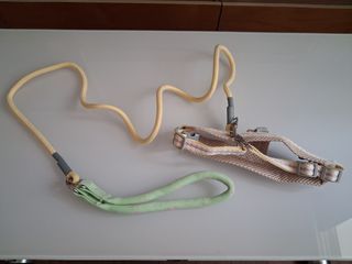 （分類：）位於 。 由 heeheelo62571 提交（商品編號 1454392034，圖片 1）。簡介： 。