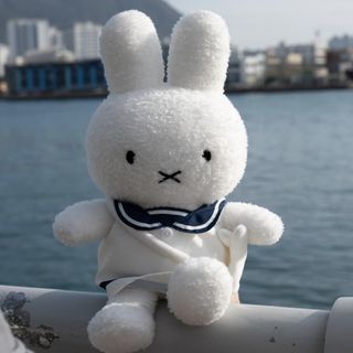 （分類：）位於 。 由 lasopu 提交（商品編號 1454466063，圖片 1）。簡介： 。