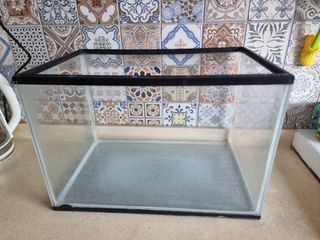 (Category: ) located in . Submitted by petstyle888 (Listing ID 1454440815, Image 1). Description: .