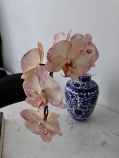 （分類：）位於 。 由 kkmodelwor95729 提交（商品編號 1454509428，圖片 1）。簡介： 。
