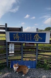 (Category: ) located in . Submitted by muuzhi (Listing ID 1454427916, Image 1). Description: .