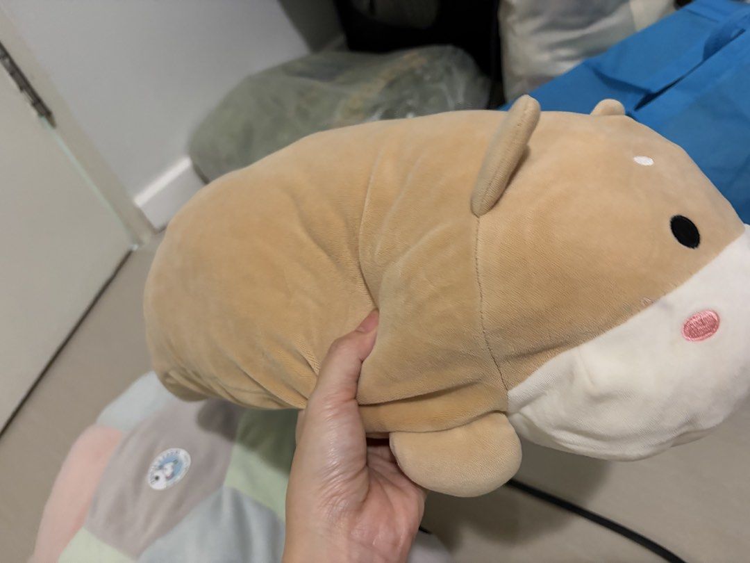 Dog and Turtle Plushies (Category: Plushies & Soft Toys) located in Taguig. Submitted by declutterjam (Listing ID 1454513656, Image 2). Description: Take both for 100.
