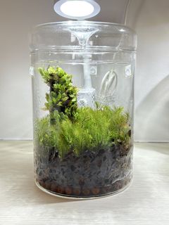 (Category: ) located in . Submitted by theorium (Listing ID 1454434031, Image 1). Description: .
