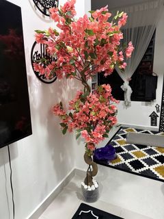 (Category: ) located in . Submitted by taslea (Listing ID 1454369128, Image 1). Description: .