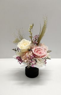 (Category: ) located in . Submitted by luv4flowers (Listing ID 1454498036, Image 1). Description: .