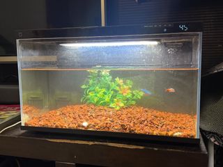 (Category: ) located in . Submitted by kenneoh (Listing ID 1454504869, Image 1). Description: .
