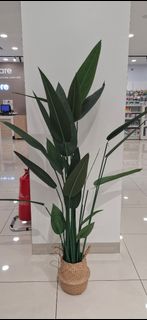 (Category: ) located in . Submitted by iris--- (Listing ID 1454679446, Image 1). Description: .