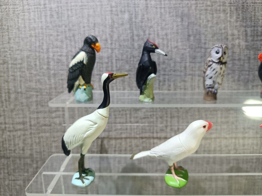 9 sets Kaiyodo Miniature Birds Collection (Category: Figurines & Statues) located in Davao. Submitted by zeek_key_collectibles (Listing ID 1454735056, Image 2). Description: 9 sets of Miniature bird collection by Kaiyodo, known japan manufacturer for realistic miniature figurines Best for bird collection and other collectors..