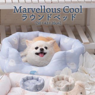 （分類：）位於 。 由 sushinki520 提交（商品編號 1454707970，圖片 1）。簡介： 。
