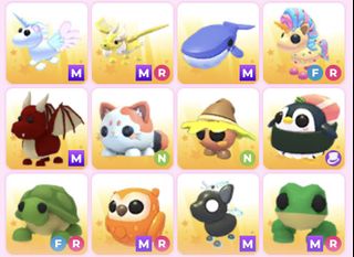 (Category: ) located in . Submitted by adoptmepets163 (Listing ID 1454734556, Image 1). Description: .