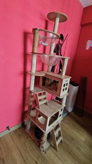 (Category: ) located in . Submitted by fromonedollar (Listing ID 1454607635, Image 1). Description: .